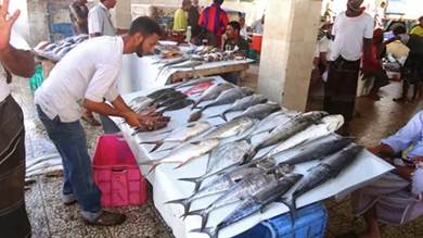 ​وزير الزراعة: قرار وقف تصدير الأسماك لم يكن عبثيًا